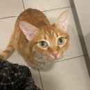 모두 愛 김밥 이미지