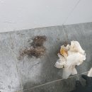 중앙동로 이미지