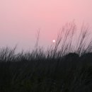 바람과노을