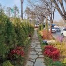 송파대로 이미지