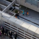 담장너머 이미지