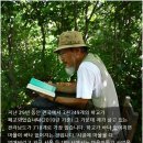 낙성초교 이미지