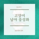 엘동물병원 네이버블로그