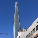 멍멍살롱 | 힘들었던 시그니엘 서울 프리미어 더블룸 객실 1박 2일 후기(먹는 음식 각별히 주의❗️)
