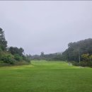 모나크cc 이미지