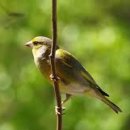 당동주공1차 이미지