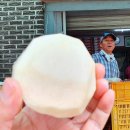 선웅농원 이미지