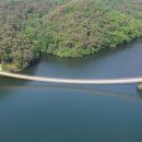 출렁다리(2) 이미지