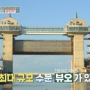 연수참치