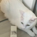 수수루스 | [ 프로폴리스 치약 ] 임산부 치약 으로 탁월한 '수수루스 치약' 사용후기
