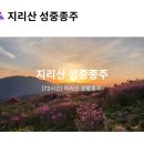 [BAC 인증] BAC "지리산 성중종주" 프로그램 오픈(5/9) 이미지