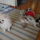 옹기종기 이미지