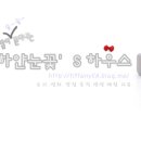 케이엔텍 이미지