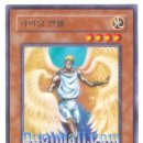 제라토 Daum카페