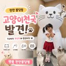 힐링단란주점 | 천안 아이랑 가볼만한곳 추천! 70마리 개냥이와 힐링 가능한 캣플 천안불당점 후기