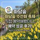 화담숲 수선화 축제 직접 예약해봤더니, 3월 10일 전에 꼭 알아야 할 것들