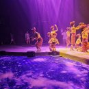 담양 반딧불 | 보홀 가볼만한곳 랜드투어 보홀쇼 마사지샵