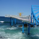 묵호항 자연산 수산물 판매시장 이미지