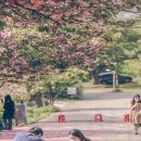 당림미술관 이미지