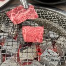 참한우 | [통영] 무전동 점심 회식장소로 제격! 통영참한우정육식당 가격 및 메뉴 솔직 후기