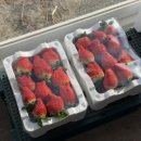 주성농장 이미지