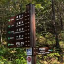[전북/완주] 블랙야크 100대 명산 - 모악산 코스 (모악산 관광단지 - 대원사 - 정상 - 송학사길)