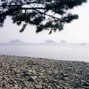 돌산종묘수산 티스토리