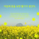 아드레날린컴퍼니