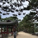 의림지 관광안내소 | 서울 근교 당일치기 여행, 제천 의림지, 청풍호 관광 모노레일, 막국수 맛집 내돈내산 후기