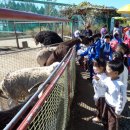 참샘웰빙어린이집 이미지