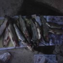 가곡낚시터 이미지