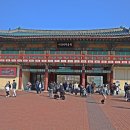 어린이대공원환경공원 Daum카페