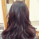 5st 헤어