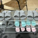 키키디디 이미지