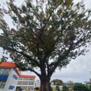 천주교 함양성당 이미지