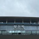 천일양봉 이미지