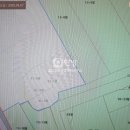 동화카센타 이미지