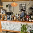 양말코히 이미지