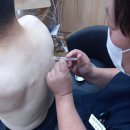 지산경희한의원 이미지