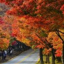 시선이 머무는 곳 이미지