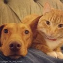 꽁냥꽁냥 이미지