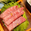 분당수내1-D-2 이미지