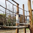 황룡강변 | 장성공원 아이랑 놀이터 숲 체험