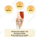 조인약국