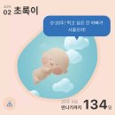 와이엘솔루션 | 임신일기_임신중기 20주~24주 철분제부작용 임당검사
