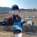 아호동농장 이미지