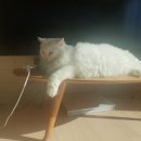 바다 노래연습장 이미지