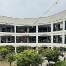 신랑 예복 기성복 추천 다산현대아울렛 마에스트로 지이크 비교 후기