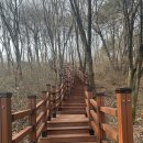 뿌리공원 둘레길 이미지