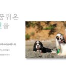 애봉이네 이미지